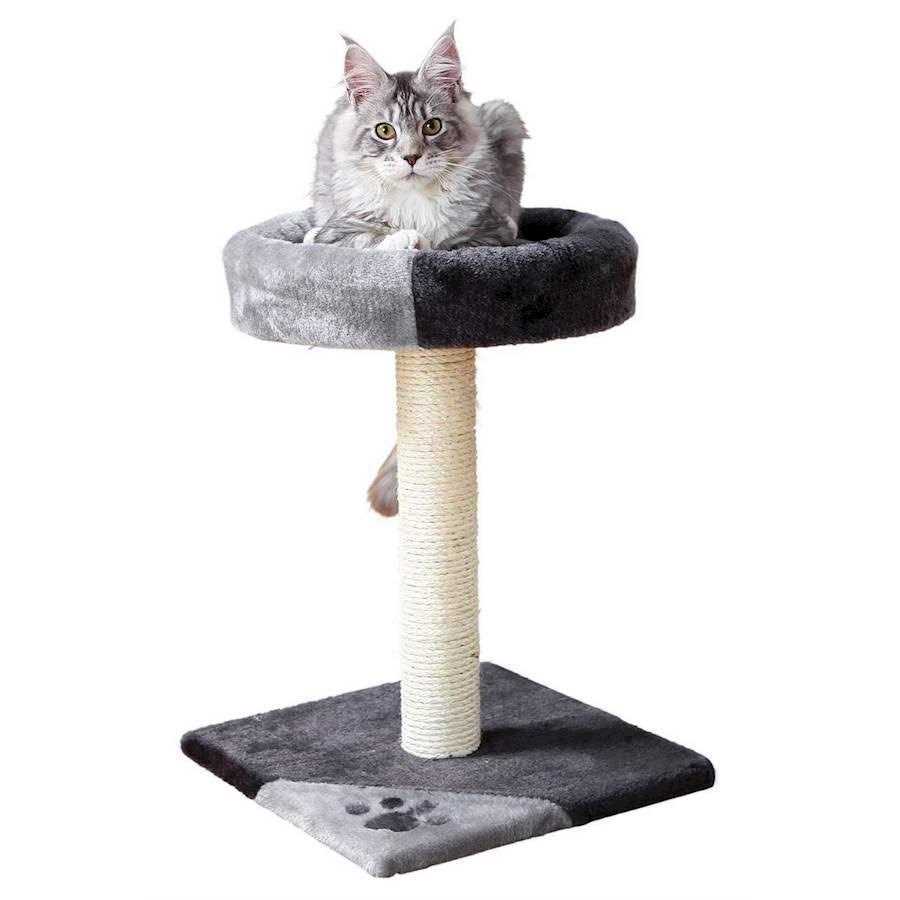Scratching Post P916