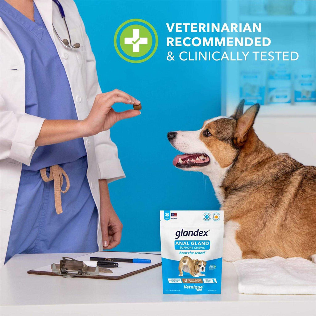 Anal Gland Soft Chews Supplement for Dogs E272