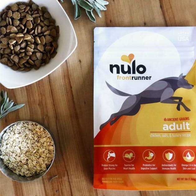 Turkey Dry Dog Food Q52878