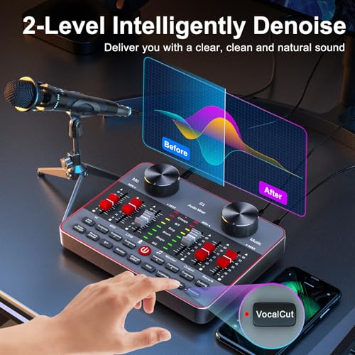 Audio Mixer Sound Card Condenser Microphone D56053