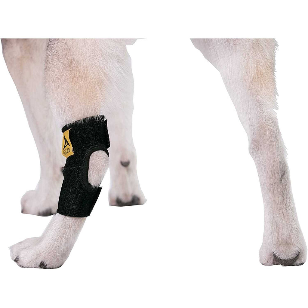 Dog Rear Hock Joint Brace Compression Wrap With Straps B2817