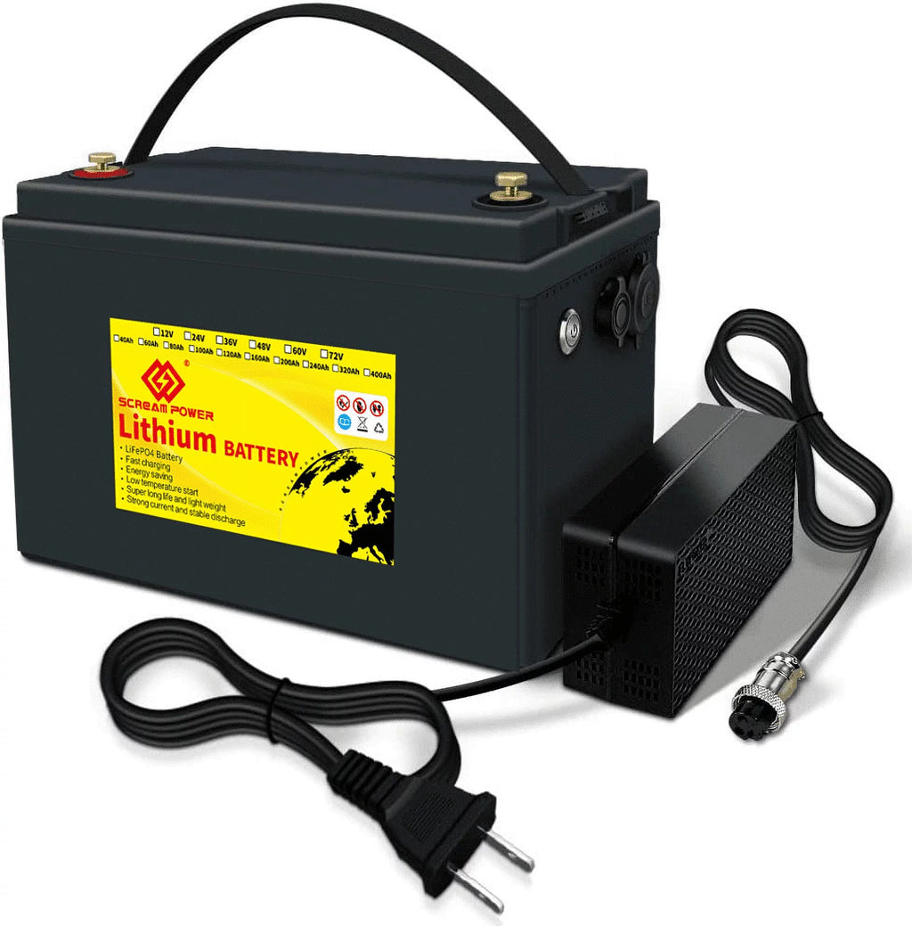 12V 100Ah LiFePO4 Lithium Battery with 100A BMS H562664