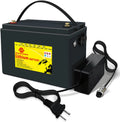 12V 100Ah LiFePO4 Lithium Battery with 100A BMS H562664