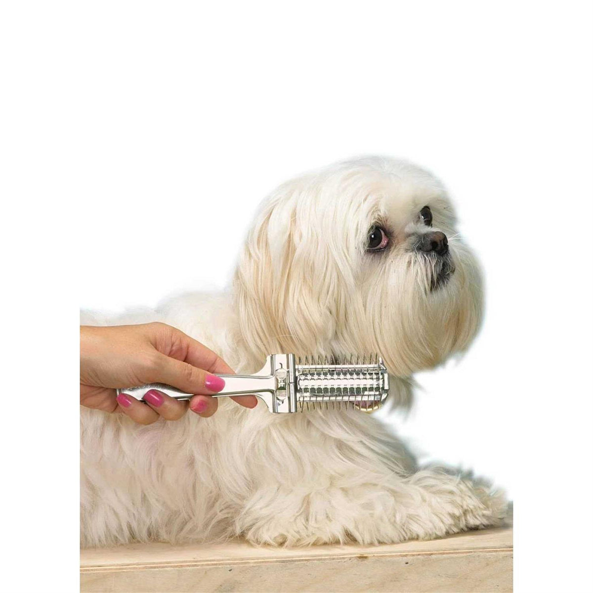 Pet Grooming Appliance V239