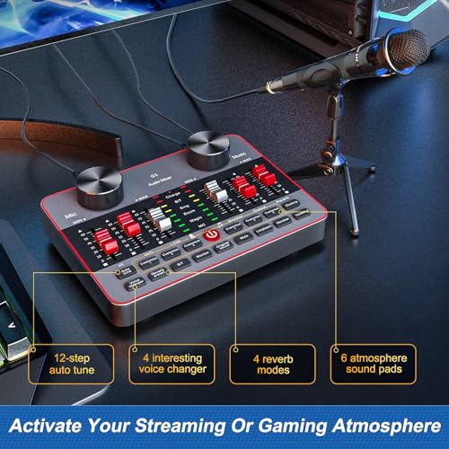 Audio Mixer Sound Card Condenser Microphone D56053