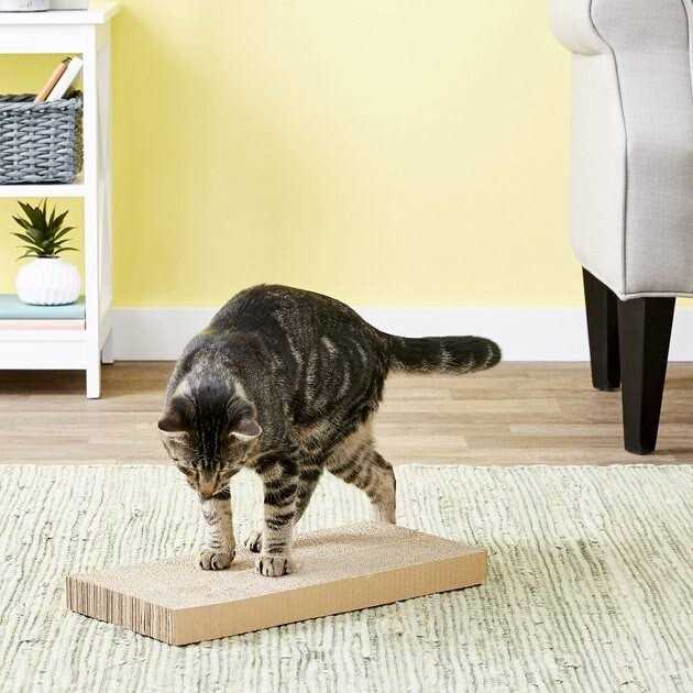 Cat Scratcher P538