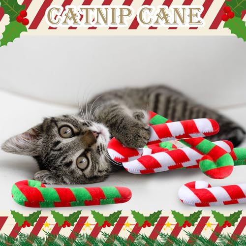 6 Pcs Catnip Cat Toys E39485