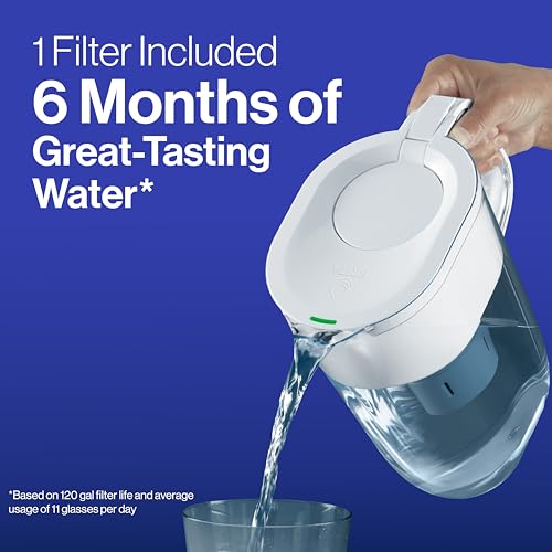 Water Filter Replacements for Pitchers and Dispensers, 2 Count P763