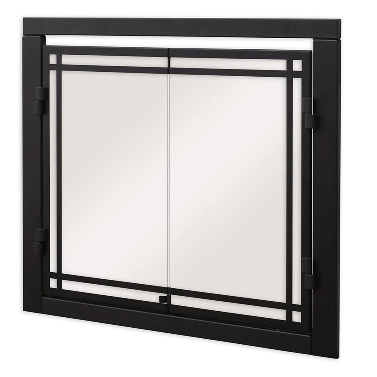 42 inch Double Glass Door B317229