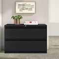 2-Drawer Lateral Filing Cabinet Black Y557