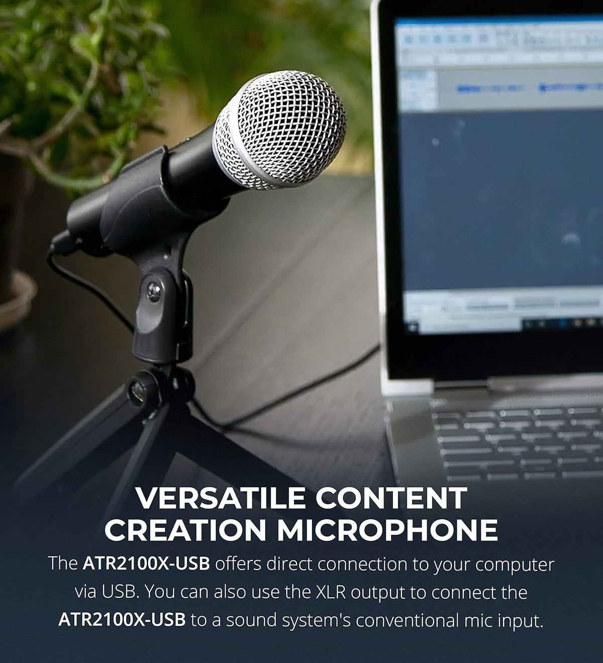Cardioid Dynamic Microphones 2-Pack P2660