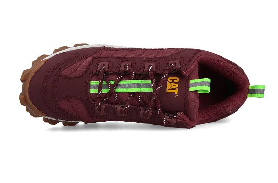 Work Boots F240