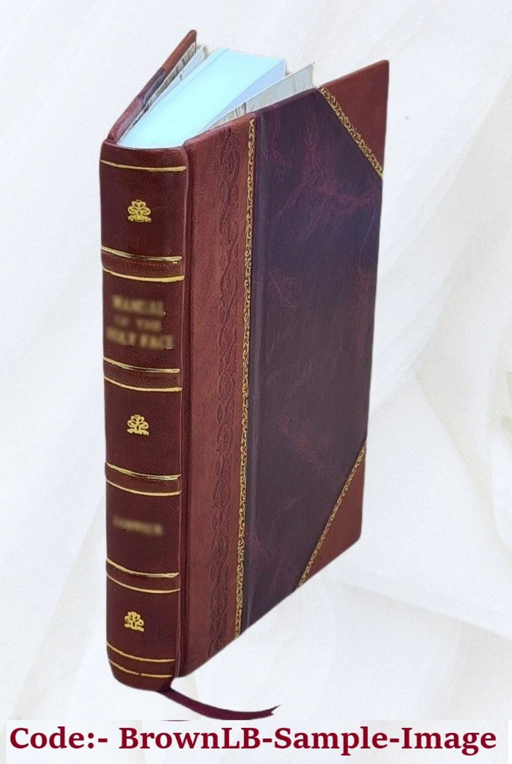 Leather Bound O77618