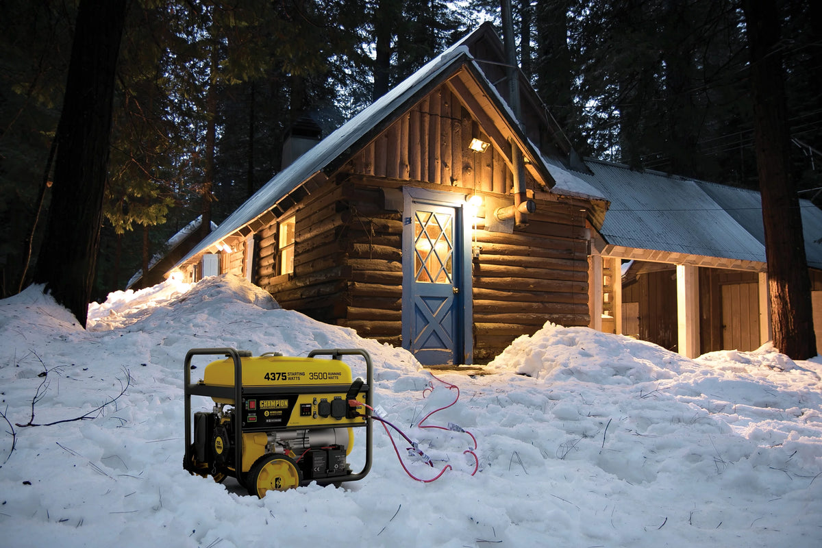 3500 Watts Portable Generator with Remote Start A9987