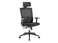 Ergonomic Office Chair with Foam Seat, Adjustable Headrest, Lumbar Support, Armrests R39164