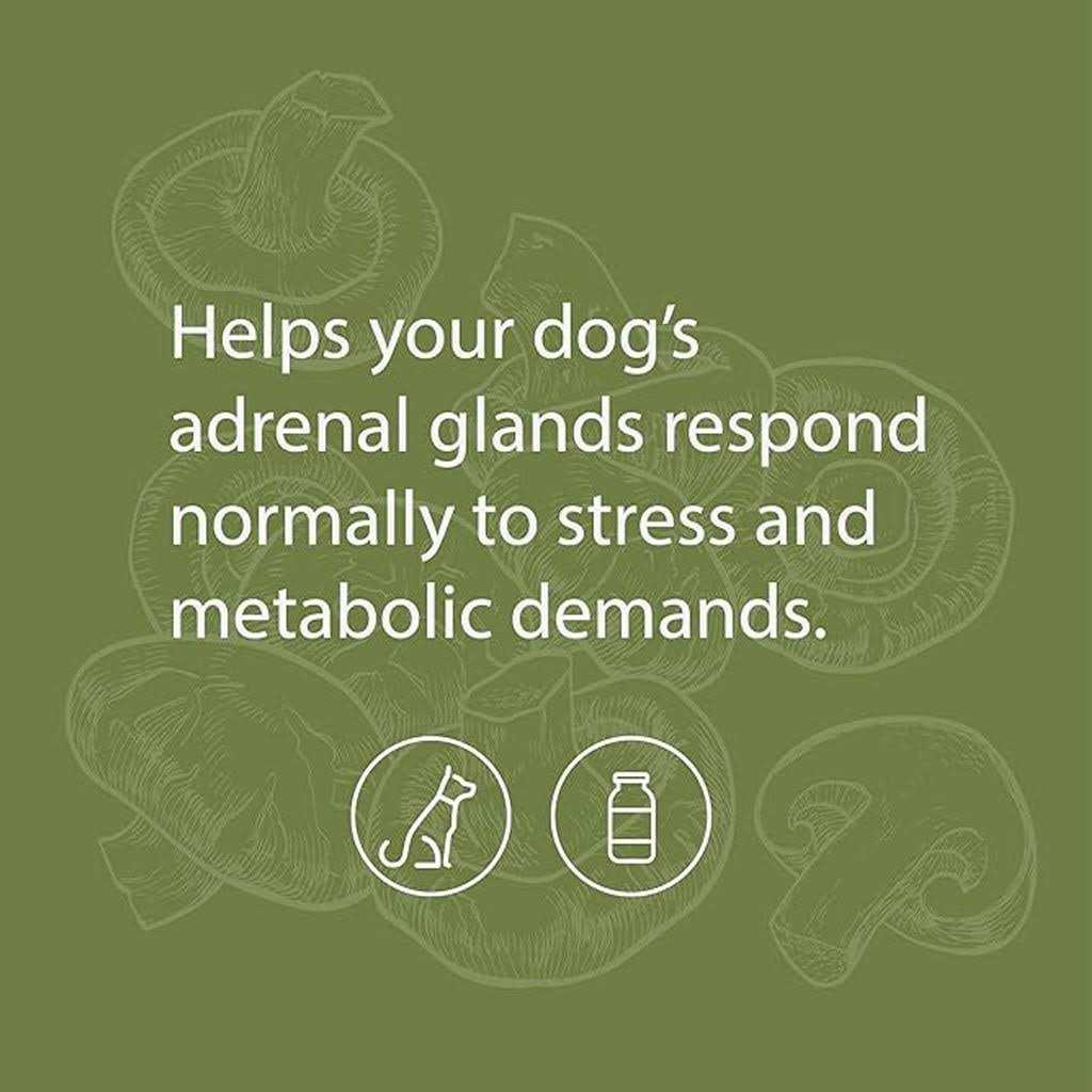Canine Adrenal Support Pet Supplies O1781