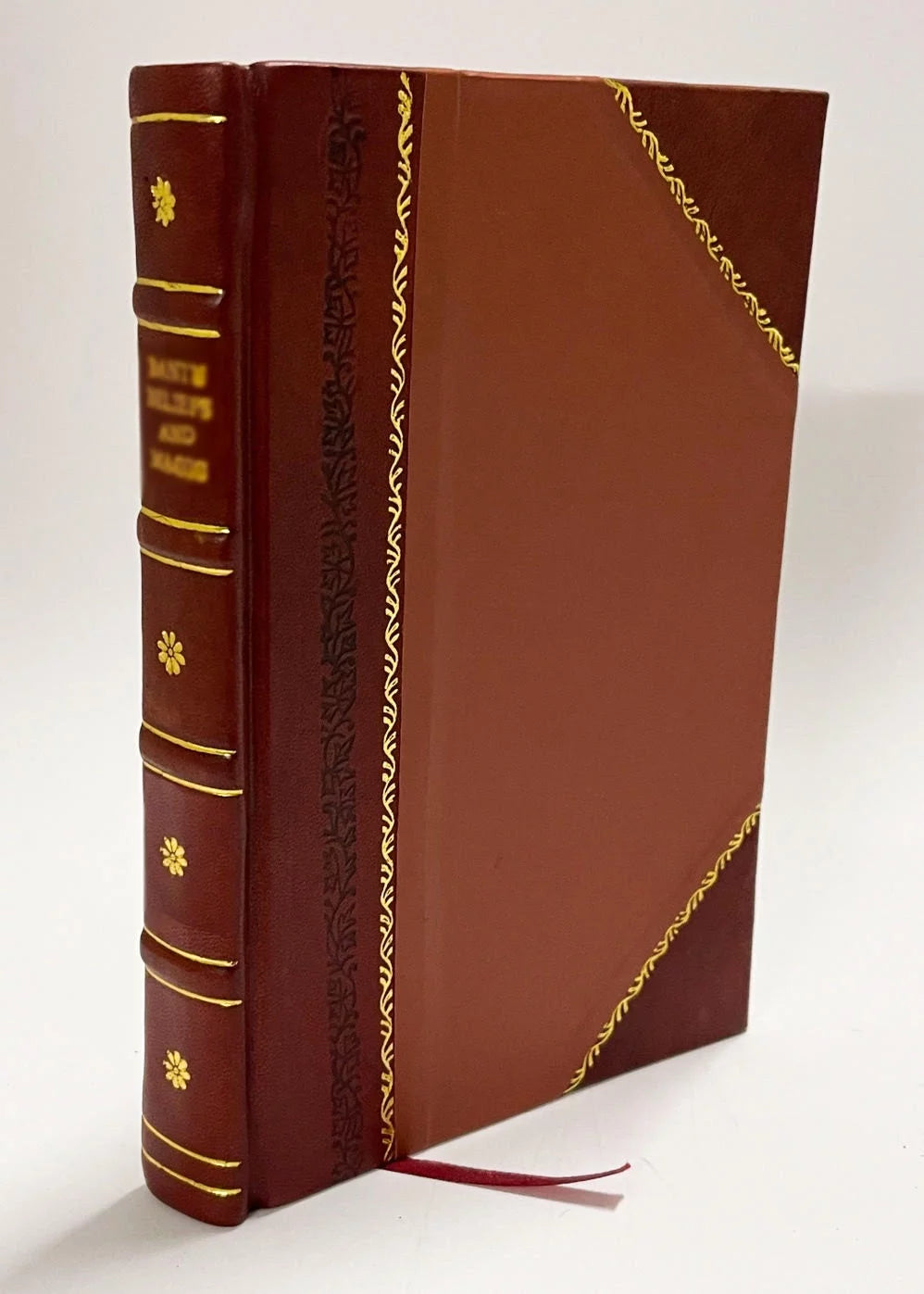 Novel S2126