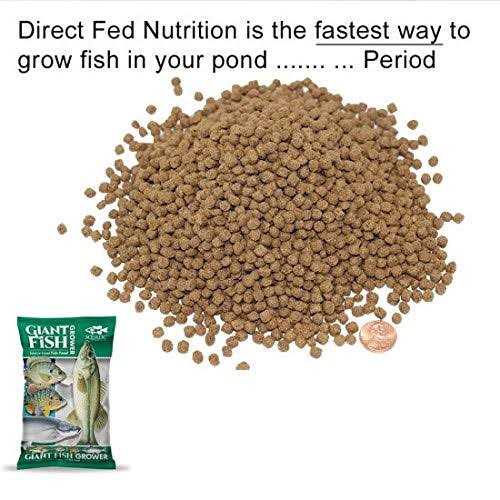 Giant Fish Grower J992546