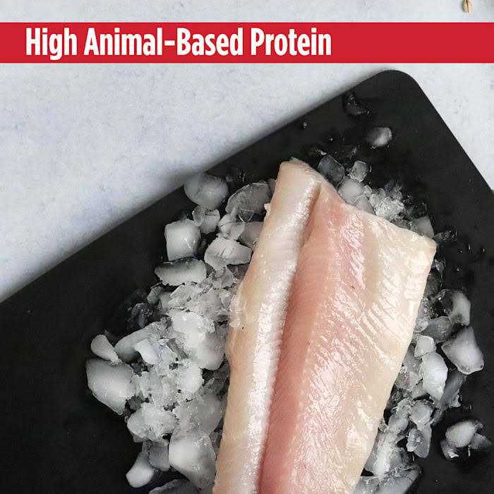 Grain Free Trout & Duck Dry Adult Cat Food U151981