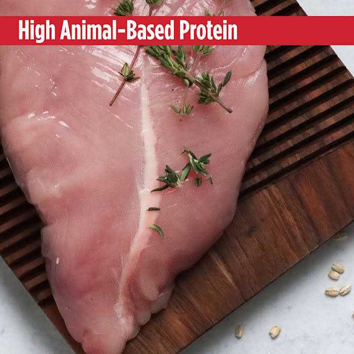 Turkey Small Breed Adult Dry Dog Food H544609