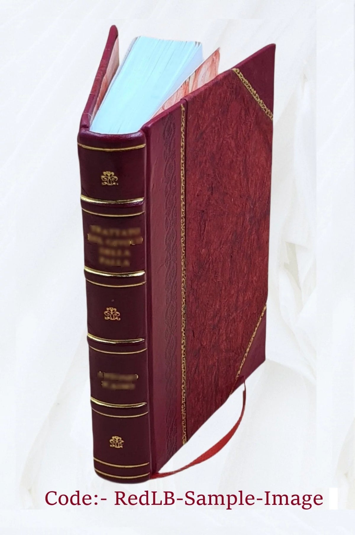 The Life and Studies of Benjamin West G354