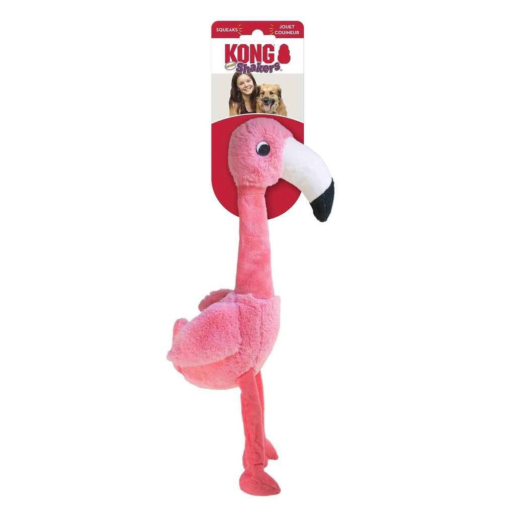 Duck Toy K333