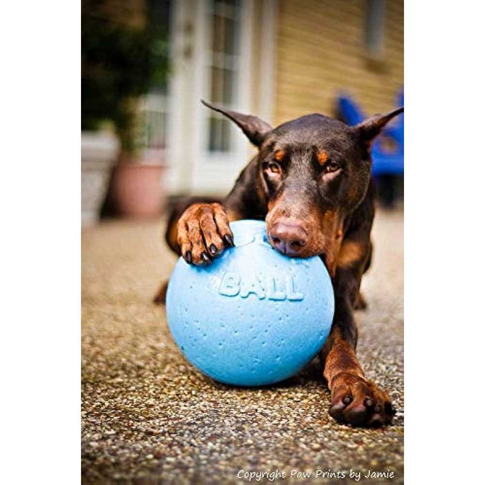 Pet Supplies Z13555