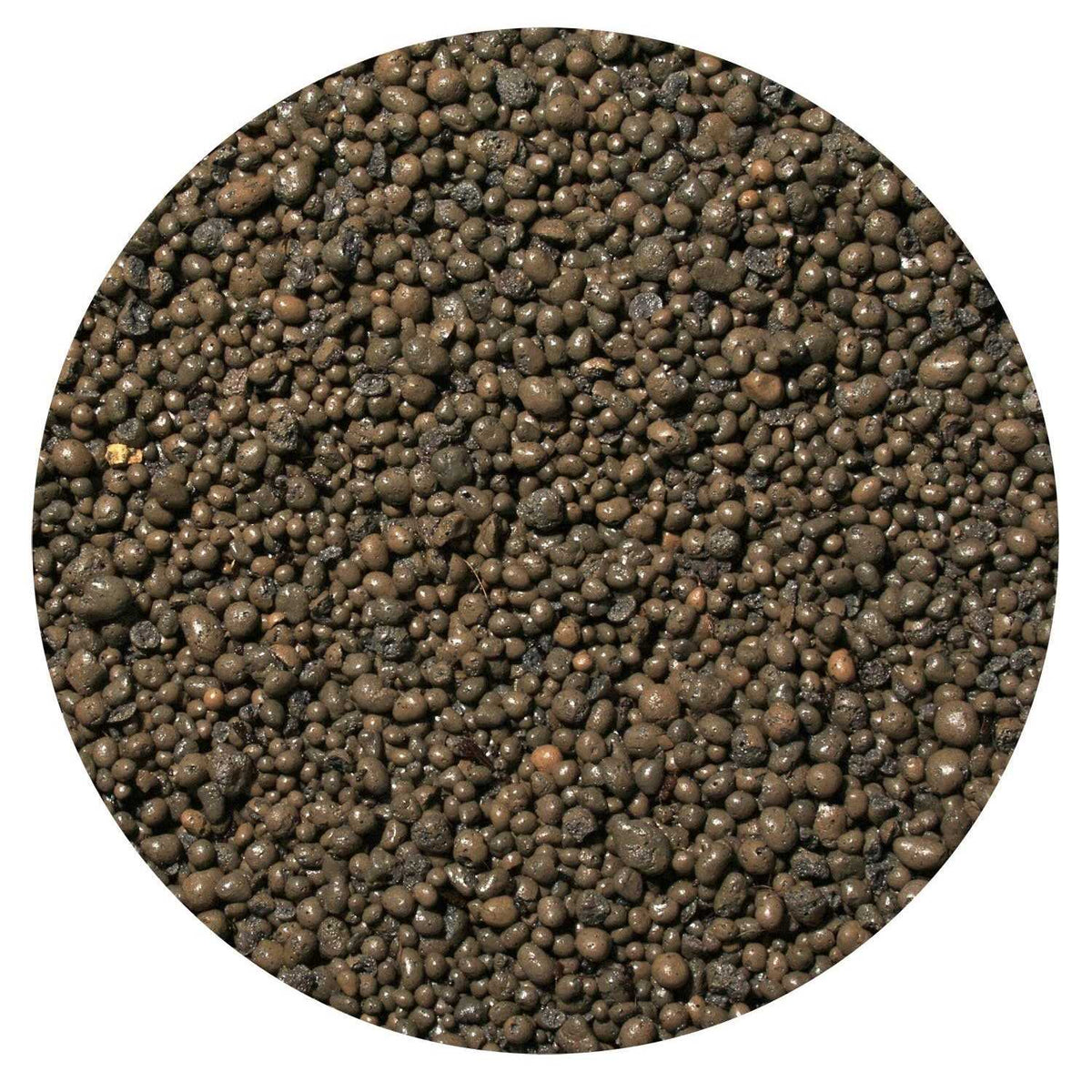 Clay Terrarium Substrate Z989646