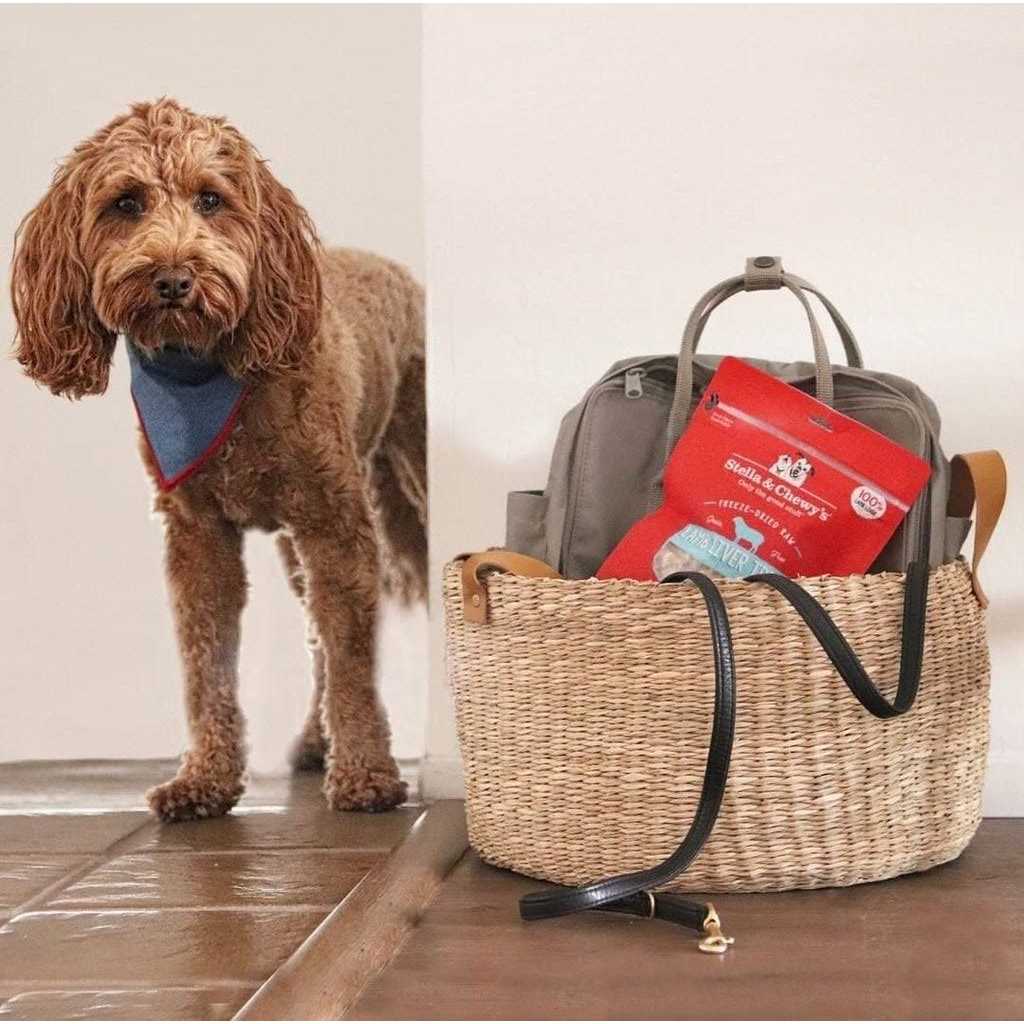 Freeze Dried Beef Dog Treats O486