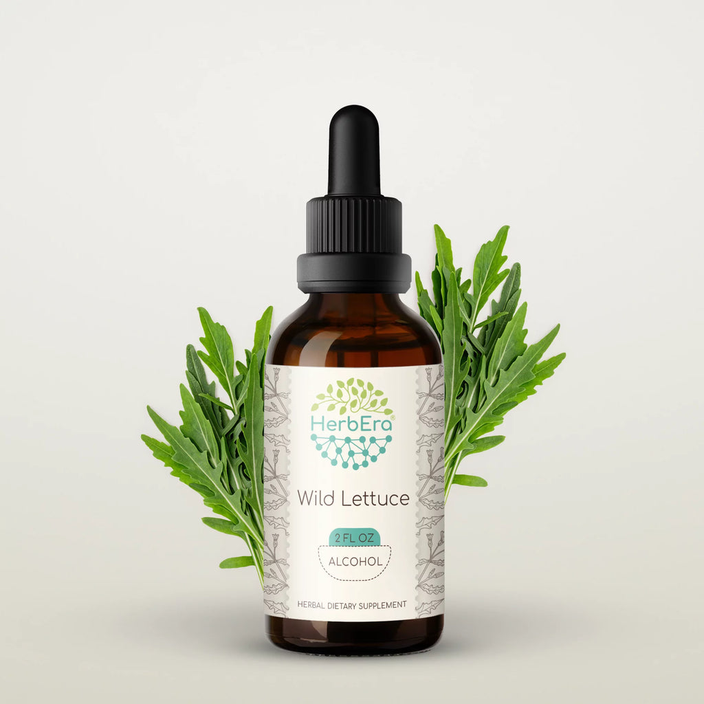Wild Lettuce Herbal Extract Tincture 2 oz X74463
