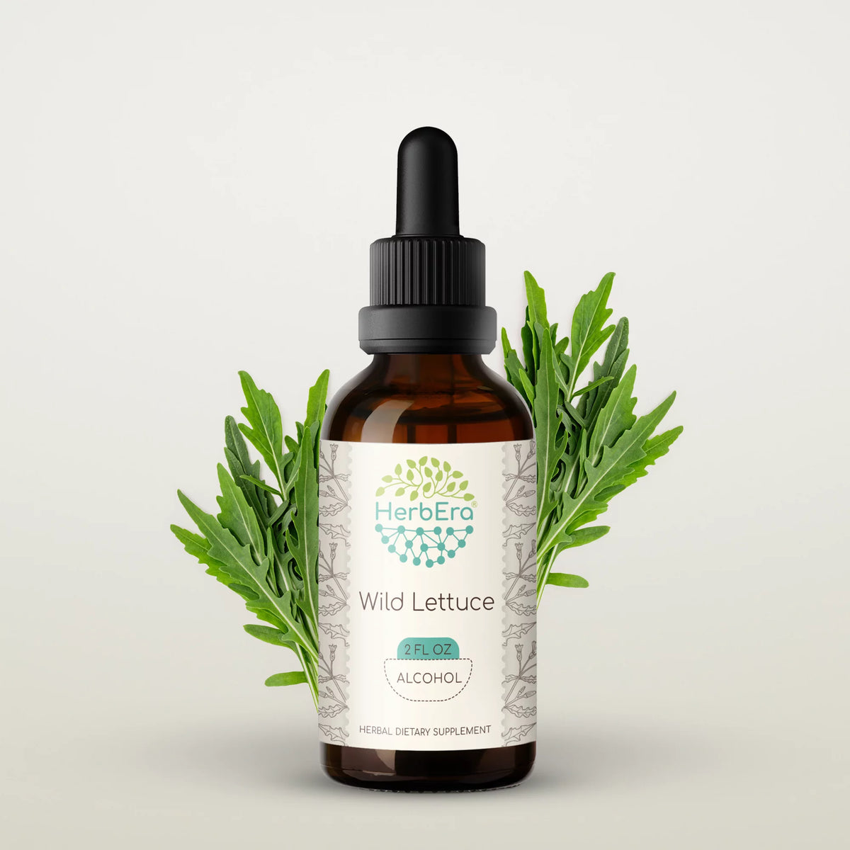 Wild Lettuce Herbal Extract Tincture 2 oz X74463