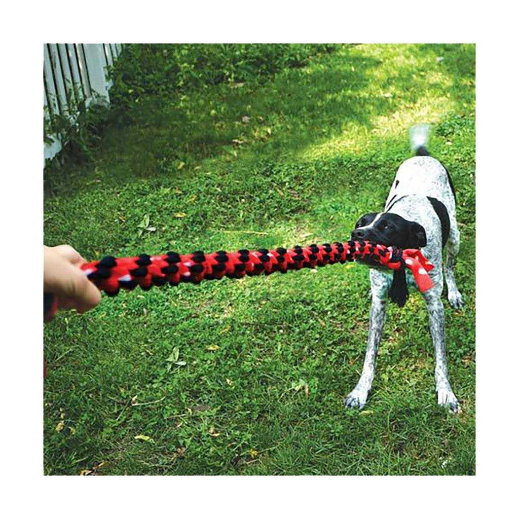 Rope Dog Toy S55890