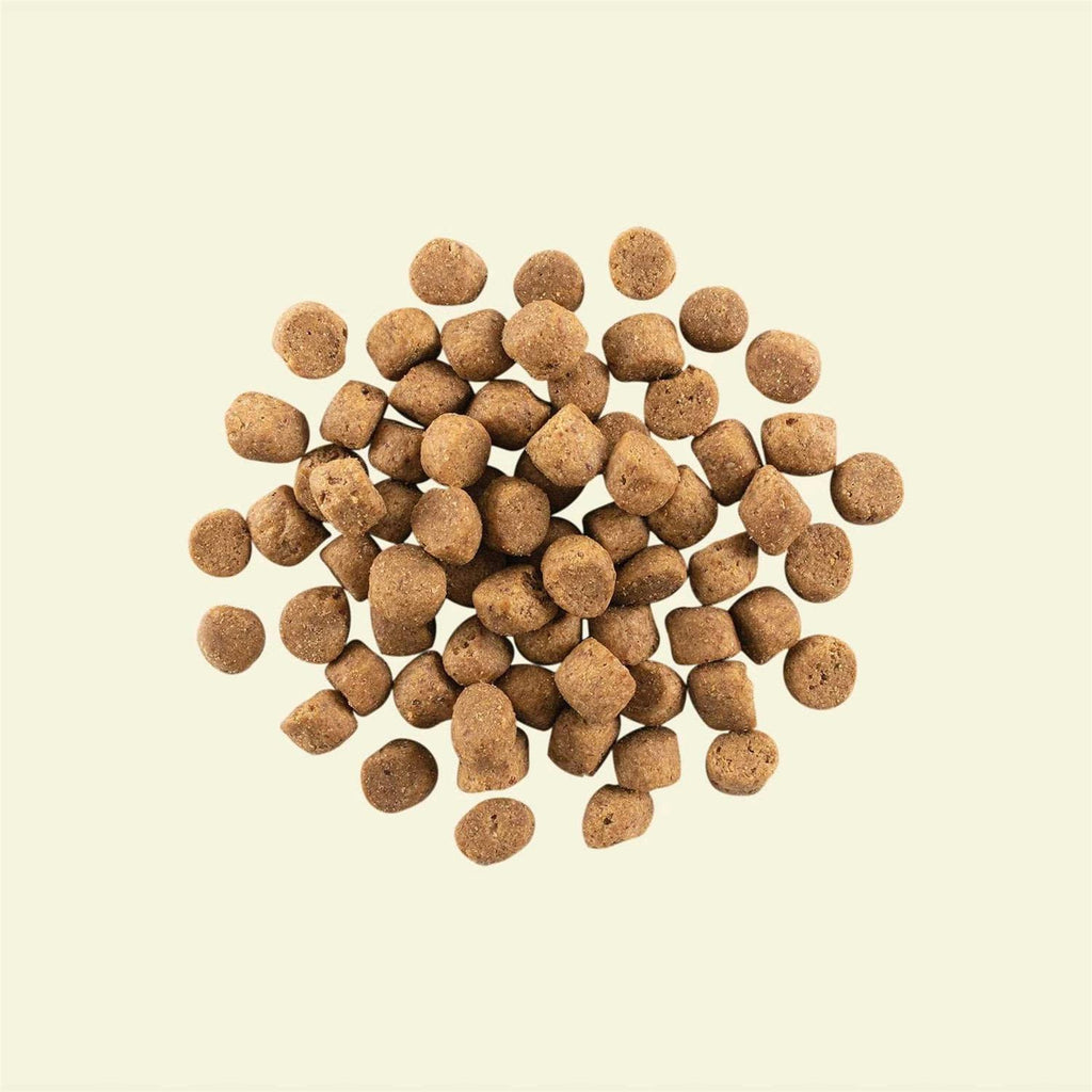 Grain-Free Small Breed Puppy Dry Dog Food E95621