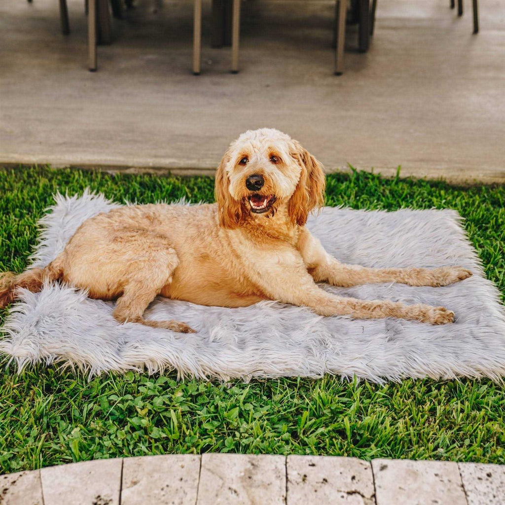 White Portable Orthopedic Dog Bed I77297