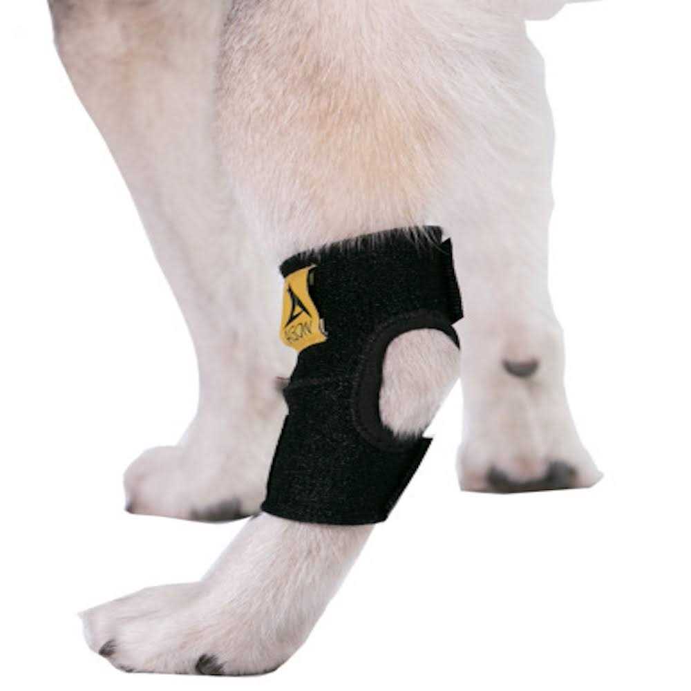 Dog Rear Hock Joint Brace Compression Wrap With Straps B2817