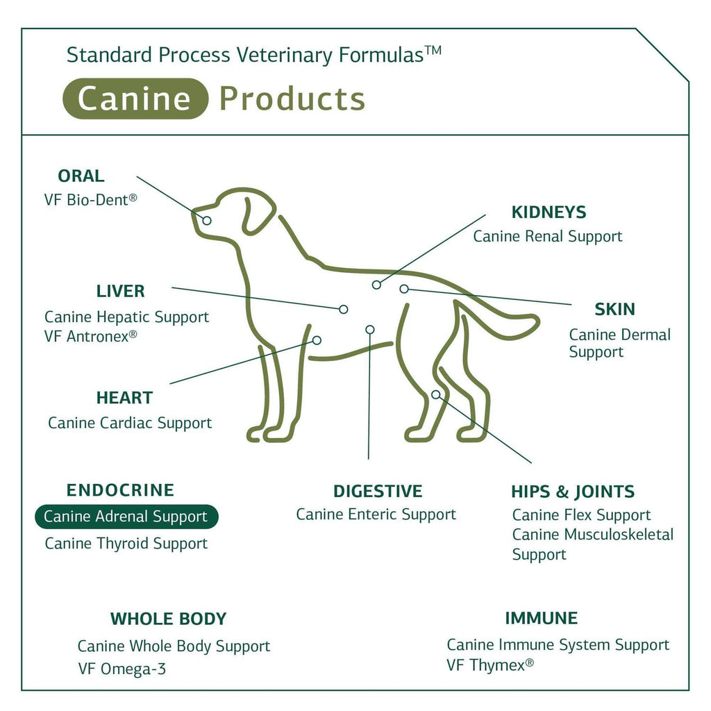 Canine Adrenal Support Pet Supplies O1781